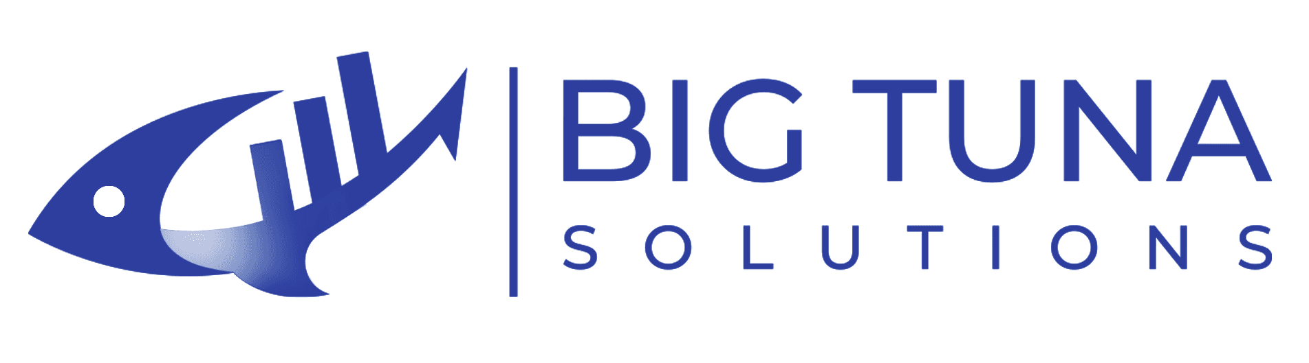 Big Tuna Solutions